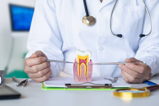 Best Chipped Tooth Repair Near Me  in Wrightsville, PA